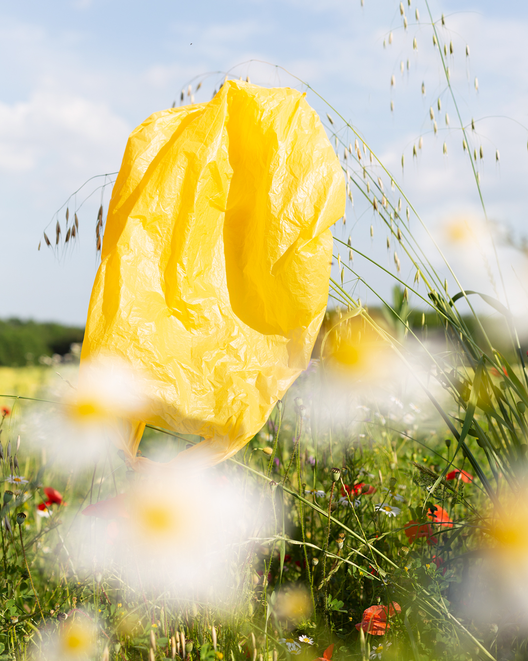 La folie du plastique